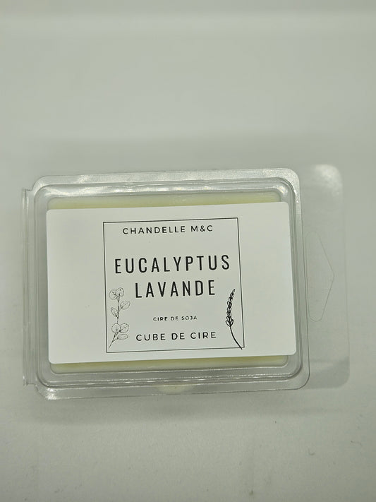 Cube de cire : Eucalyptus & lavande